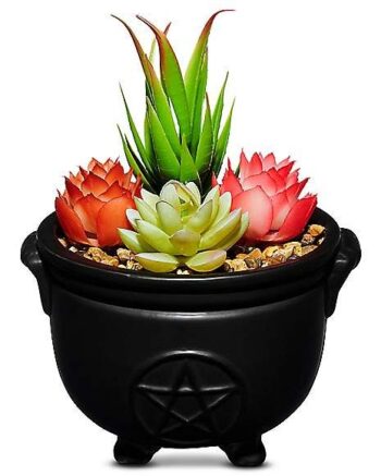 Witches Brew Planter