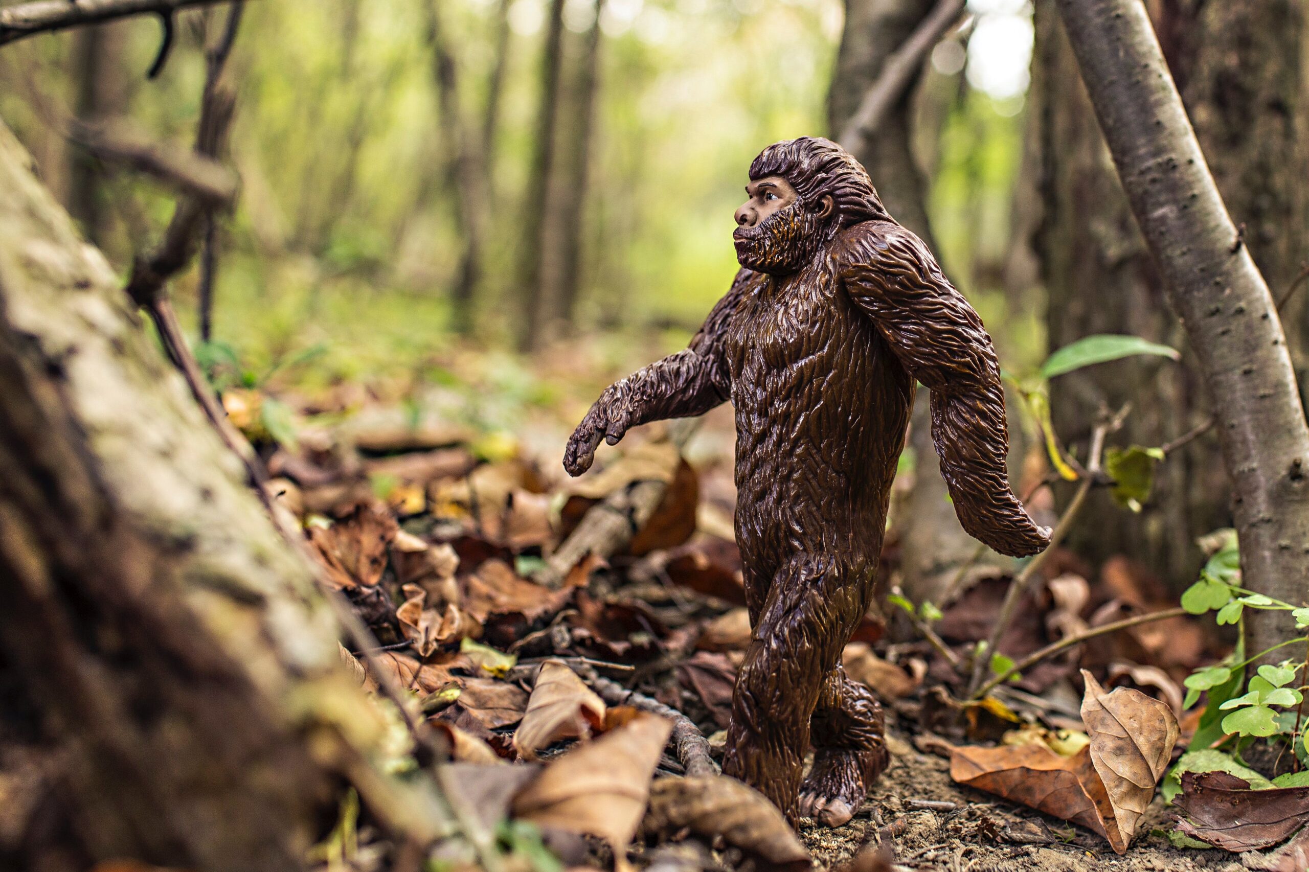 bigfoot toy posed simulating walking in the forest