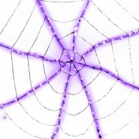 Light-Up Purple Spider Web Decoration